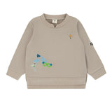 Applique Sweat-Shirts (Boys)